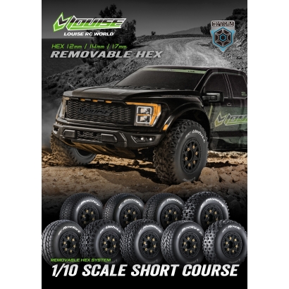 10th SC Removable Hex.jpg